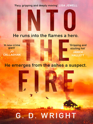 cover image of Into the Fire